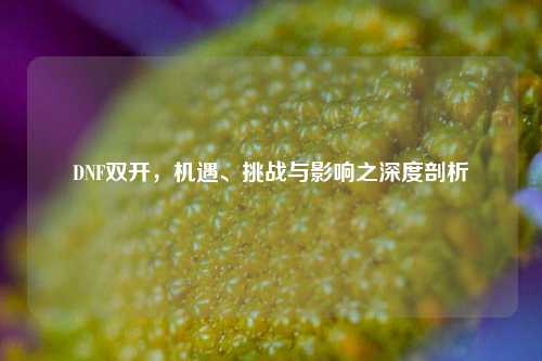 DNF双开，机遇、挑战与影响之深度剖析