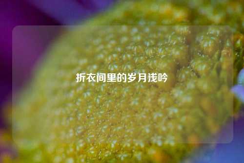 折衣间里的岁月浅吟