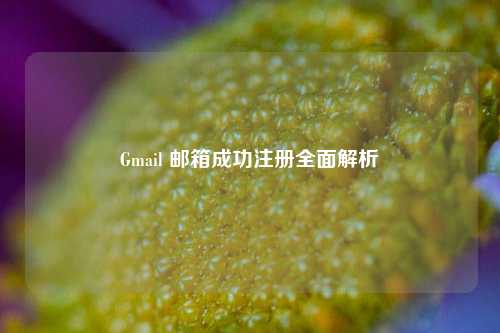 Gmail 邮箱成功注册全面解析