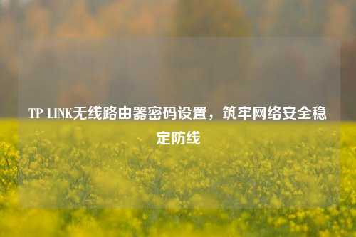 TP LINK无线路由器密码设置，筑牢网络安全稳定防线