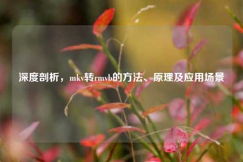 深度剖析，mkv转rmvb的方法、原理及应用场景