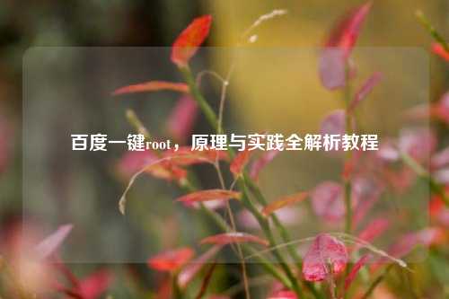 百度一键root，原理与实践全解析教程