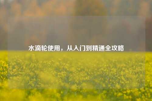 水滴轮使用，从入门到精通全攻略