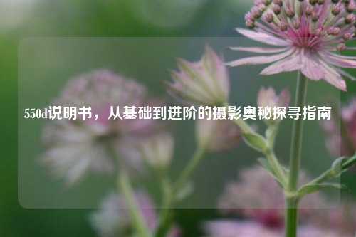 550d说明书，从基础到进阶的摄影奥秘探寻指南