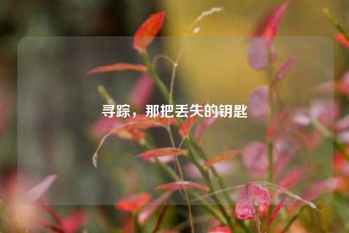 寻踪，那把丢失的钥匙