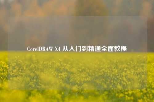 CorelDRAW X4 从入门到精通全面教程