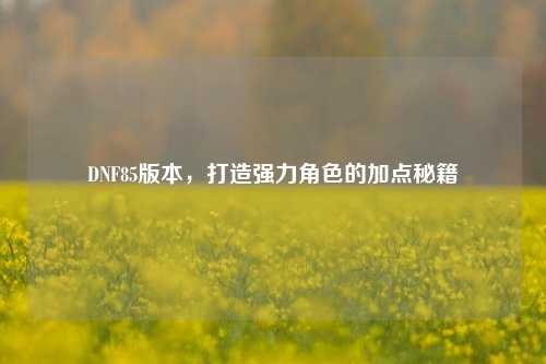 DNF85版本，打造强力角色的加点秘籍