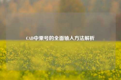 CAD中乘号的全面输入方法解析