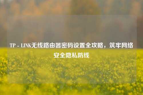 TP - LINK无线路由器密码设置全攻略，筑牢网络安全隐私防线
