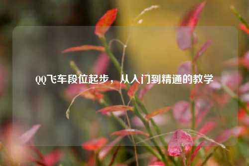 QQ飞车段位起步，从入门到精通的教学