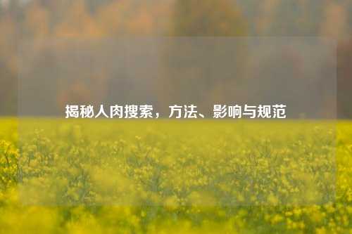 揭秘人肉搜索，方法、影响与规范
