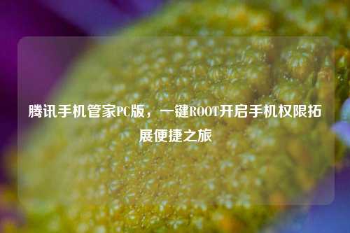 腾讯手机管家PC版，一键ROOT开启手机权限拓展便捷之旅