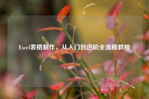 Excel表格制作，从入门到进阶全流程教程