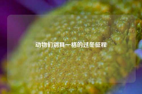 动物们别具一格的过冬征程