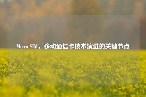 Micro SIM，移动通信卡技术演进的关键节点
