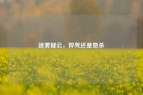 迷雾疑云，猝死还是他杀