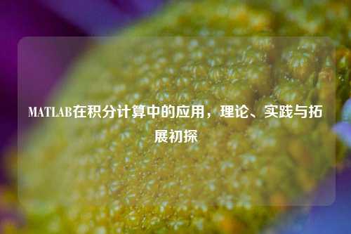 MATLAB在积分计算中的应用，理论、实践与拓展初探