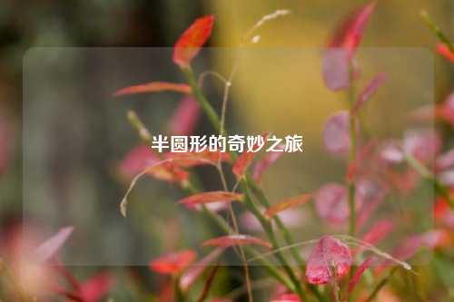 半圆形的奇妙之旅