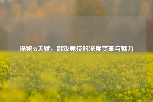 探秘S5天赋，游戏竞技的深度变革与魅力