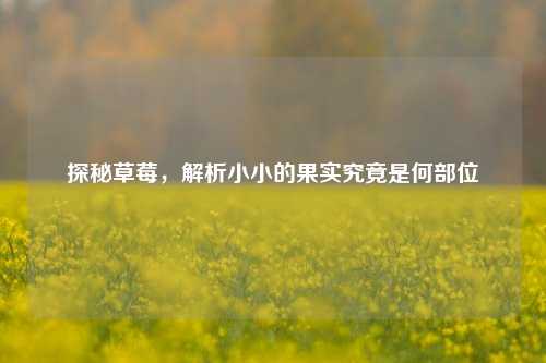 探秘草莓，解析小小的果实究竟是何部位