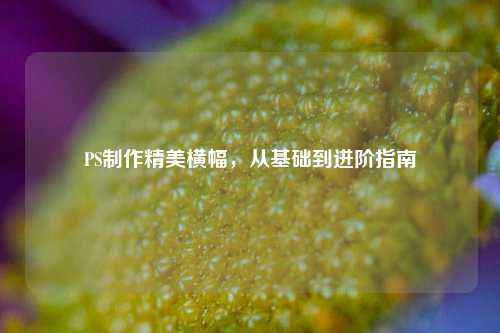 PS制作精美横幅，从基础到进阶指南