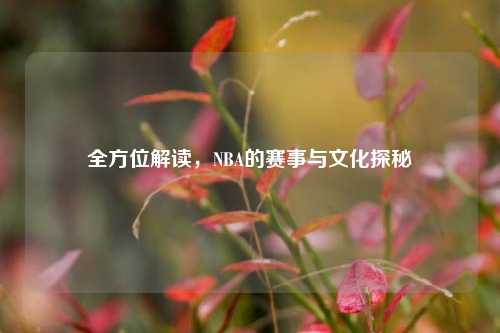 全方位解读，NBA的赛事与文化探秘