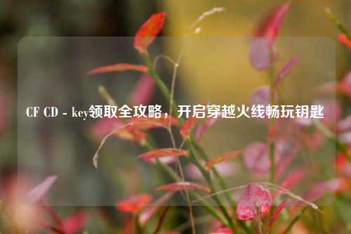 CF CD - key领取全攻略，开启穿越火线畅玩钥匙
