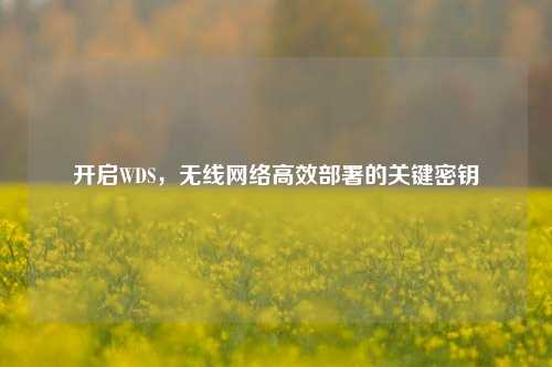 开启WDS，无线网络高效部署的关键密钥