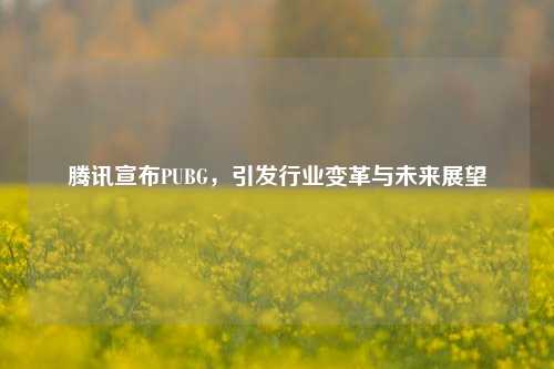 腾讯宣布PUBG，引发行业变革与未来展望