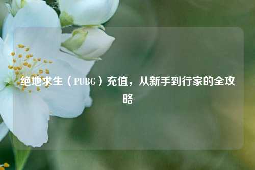 绝地求生（PUBG）充值，从新手到行家的全攻略