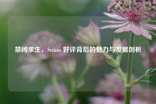 禁闭求生，Steam 好评背后的魅力与发展剖析