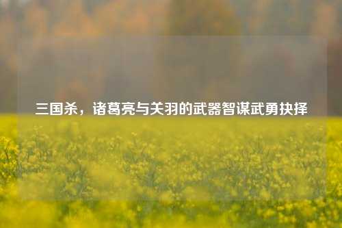 三国杀，诸葛亮与关羽的武器智谋武勇抉择