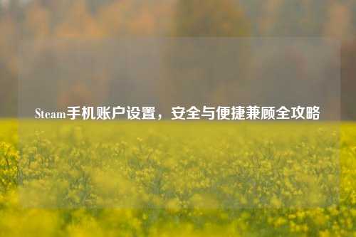 Steam手机账户设置,安全与便捷兼顾全攻略