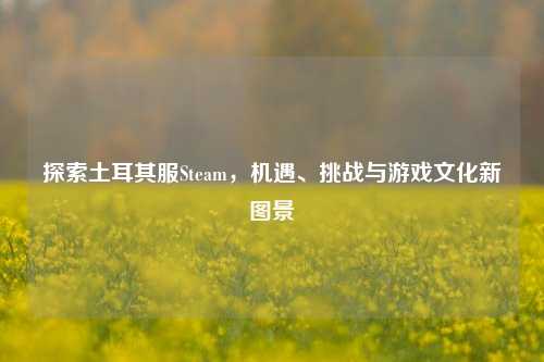 探索土耳其服Steam,机遇、挑战与游戏文化新图景
