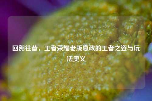 回溯往昔,王者荣耀老版嬴政的王者之姿与玩法奥义
