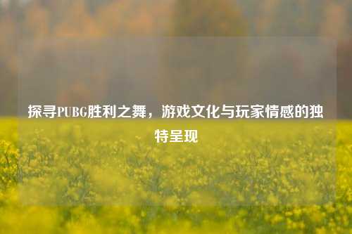 探寻PUBG胜利之舞,游戏文化与玩家情感的独特呈现