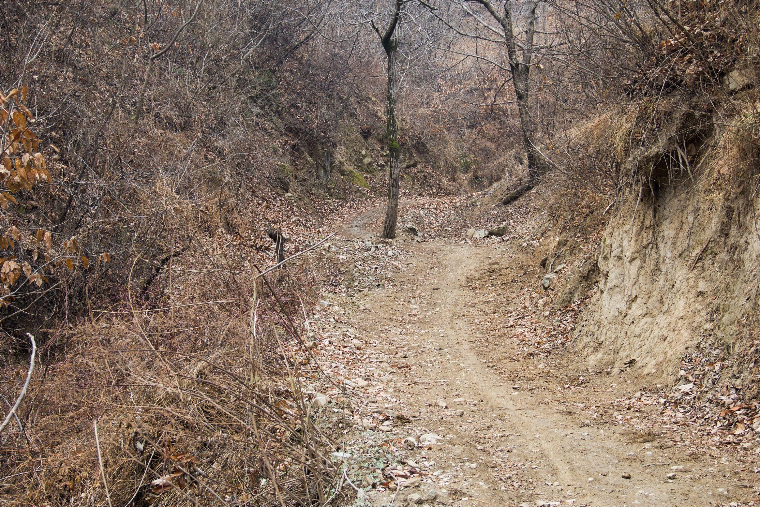 寂静村怎么跳,寂静村那个高台怎么上